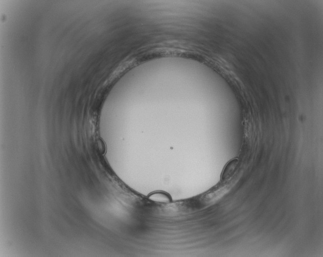 X0000065980382200603030936