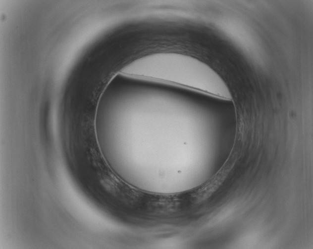 X0000065980383200603030936