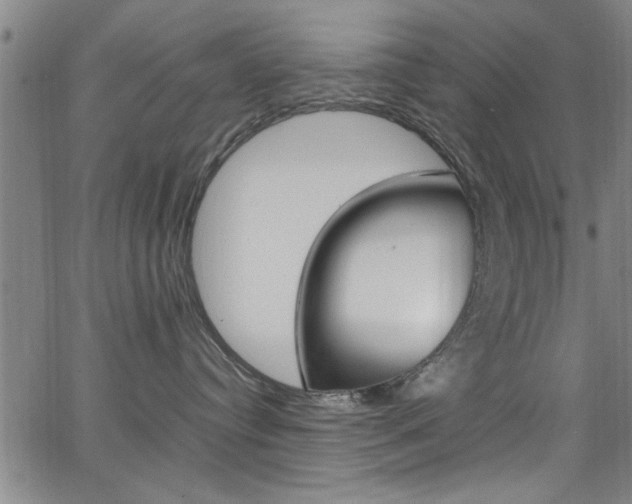 X0000065980384200603030936