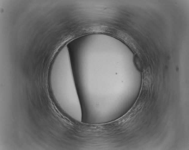 X0000065980386200603030935