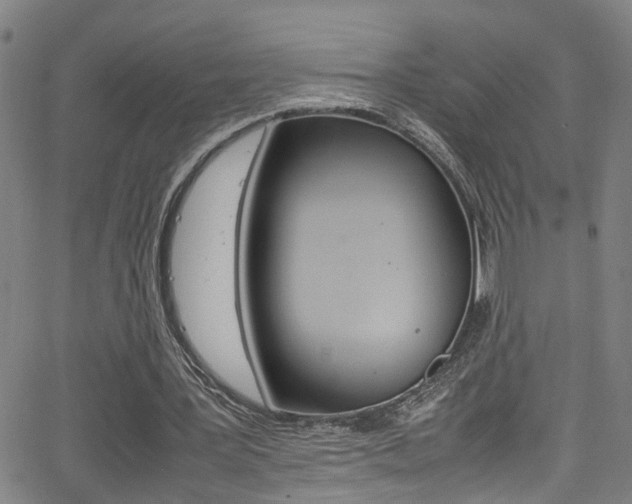 X0000065980387200603030935