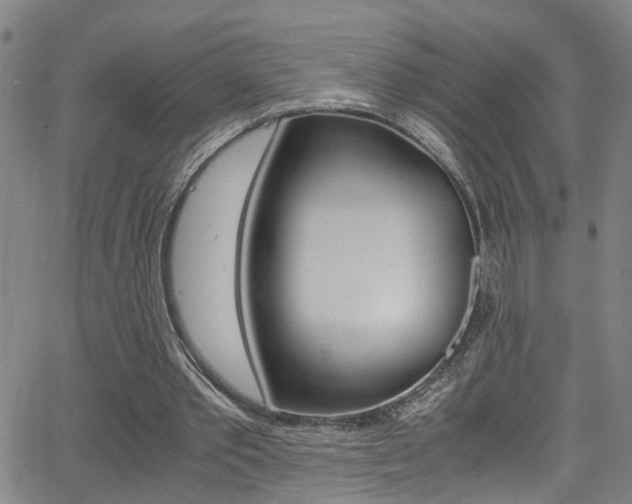 X0000065980389200603030935