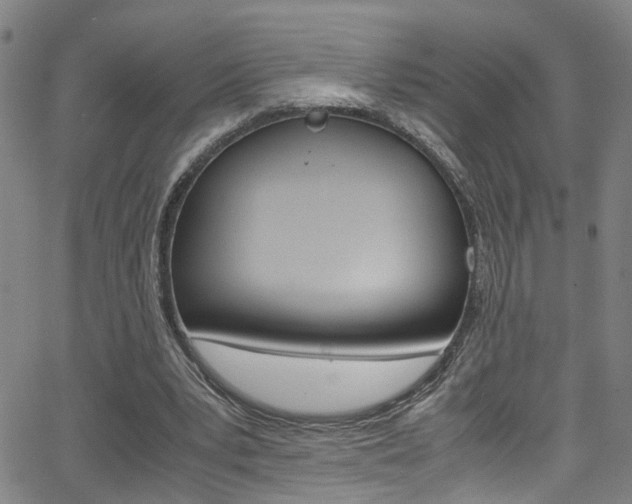 X0000065980391200603030935