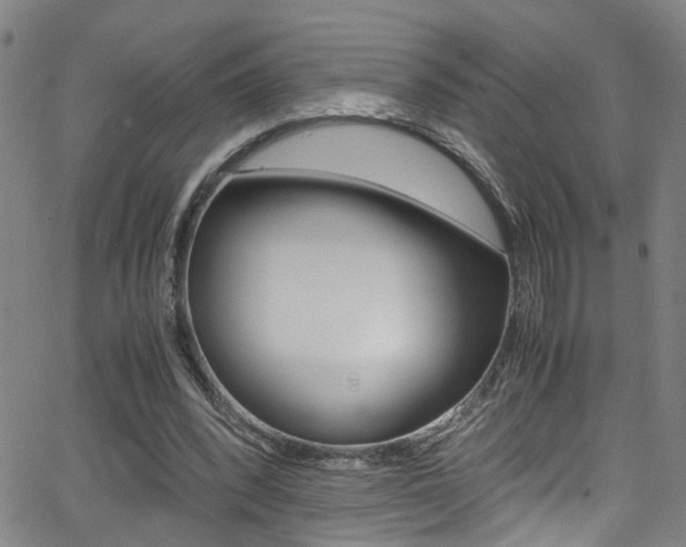 X0000065980392200603030935