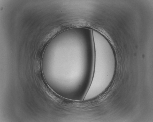 X0000065980393200603030935