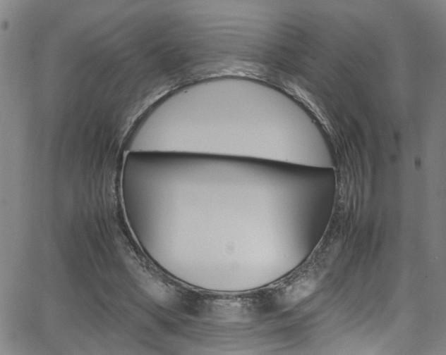 X0000065980394200603030935