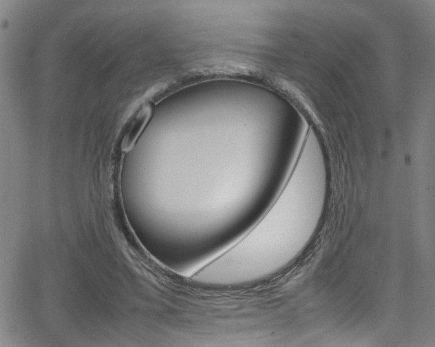 X0000065980395200603030935