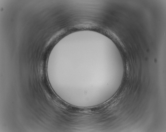 X0000065980396200603030935