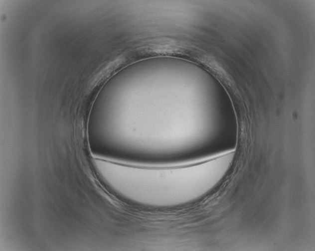 X0000065980397200603030935