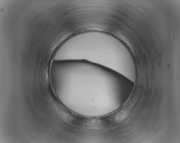 X0000065980398200603030935