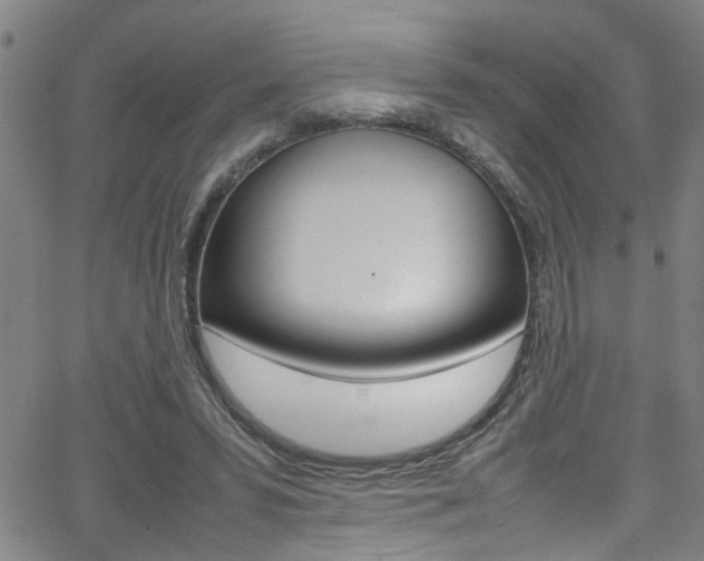 X0000065980399200603030935