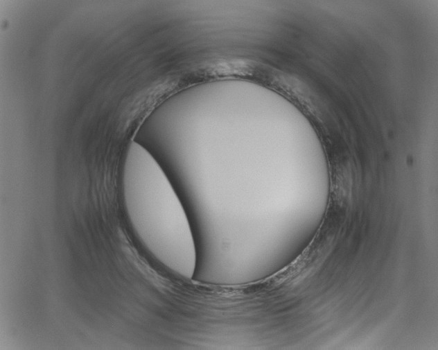 X0000065980402200603030935