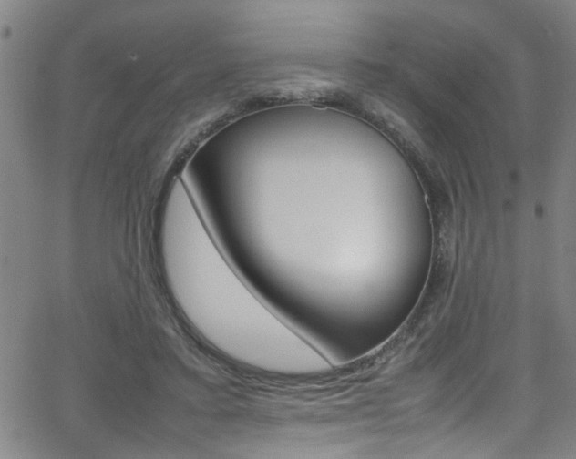 X0000065980403200603030935