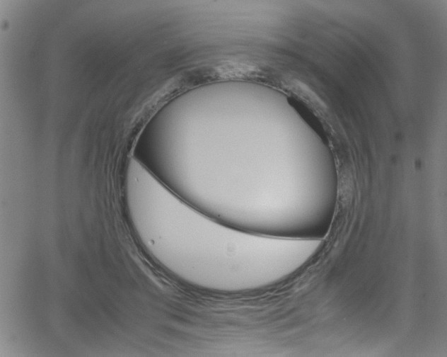 X0000065980405200603030935