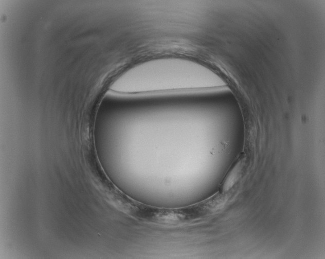 X0000065980407200603030935