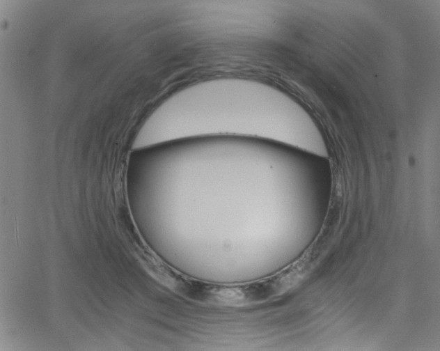 X0000065980409200603030935