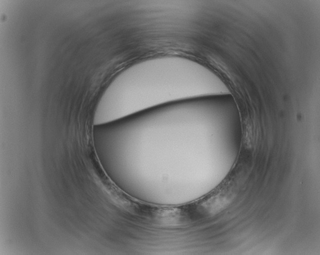 X0000065980410200603030935