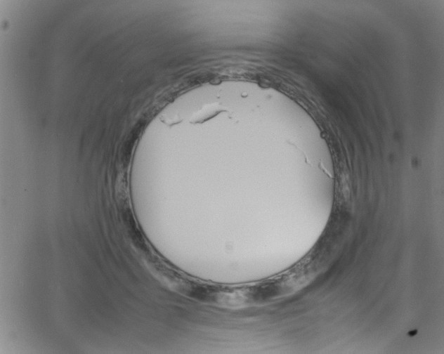 X0000065980411200603030935