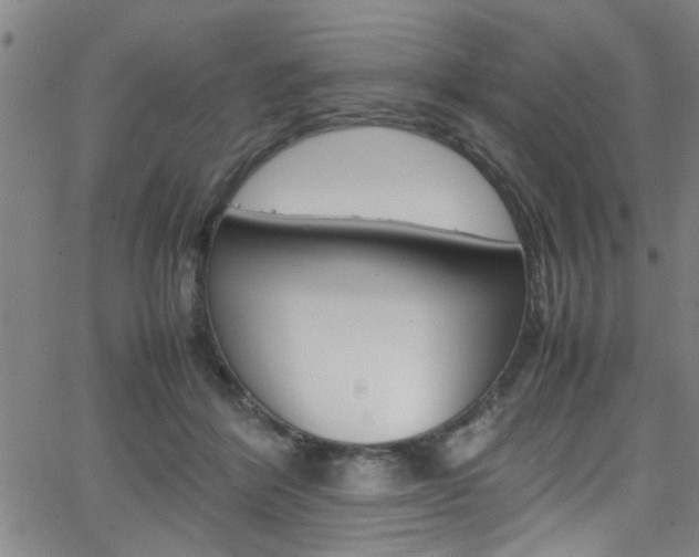 X0000065980412200603030935