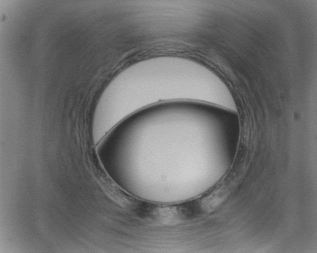 X0000065980413200603030935