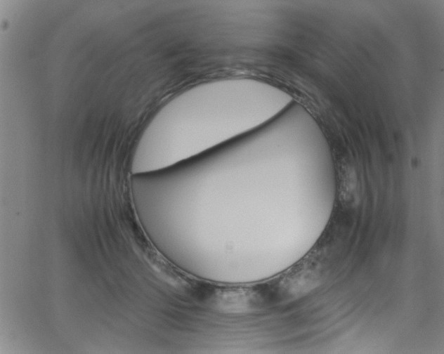 X0000065980414200603030935