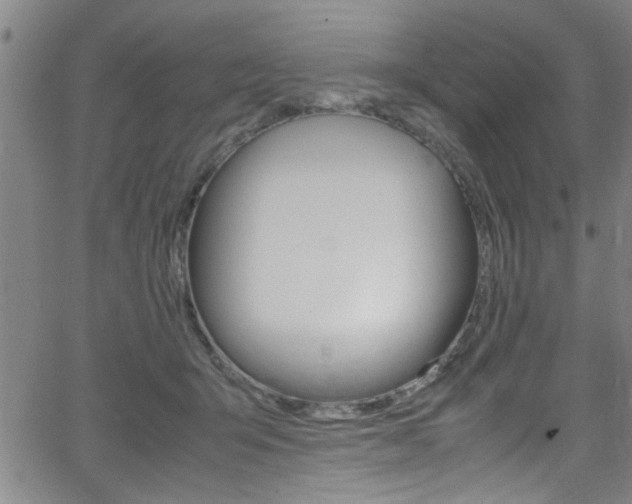 X0000065980415200603030935