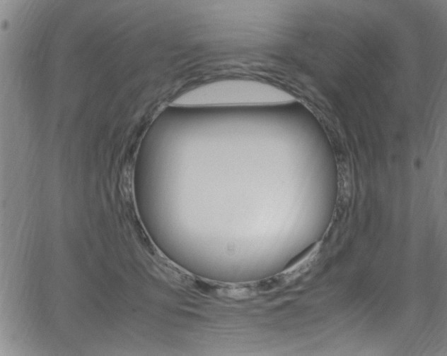 X0000065980419200603030935