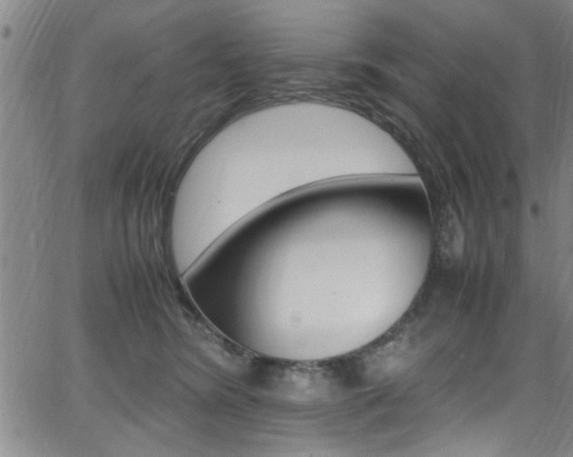 X0000065980420200603030935