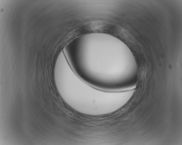 X0000065980421200603030935