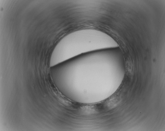 X0000065980422200603030935