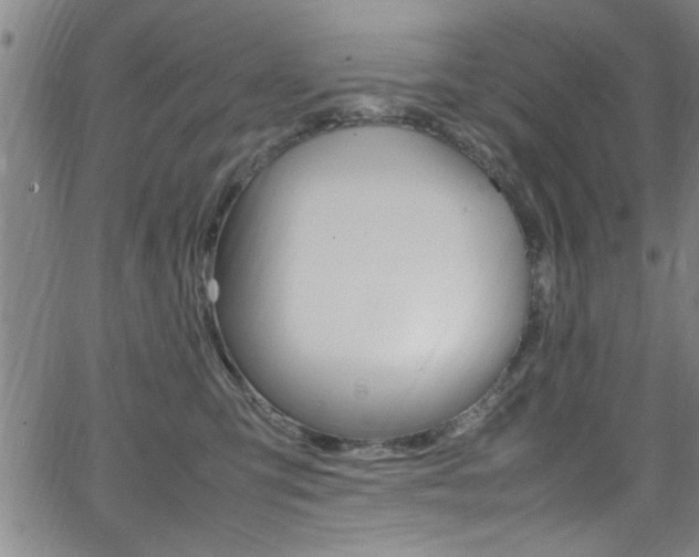 X0000065980423200603030935