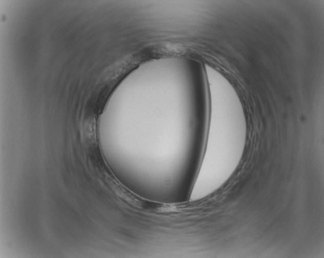 X0000065980425200603030935