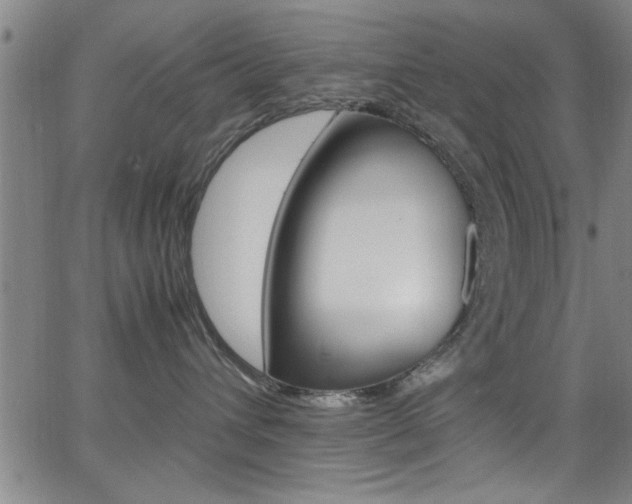 X0000065980432200603030935