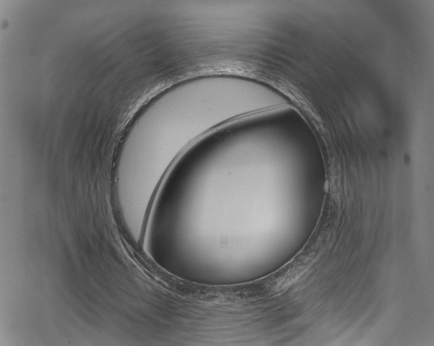 X0000065980434200603030934