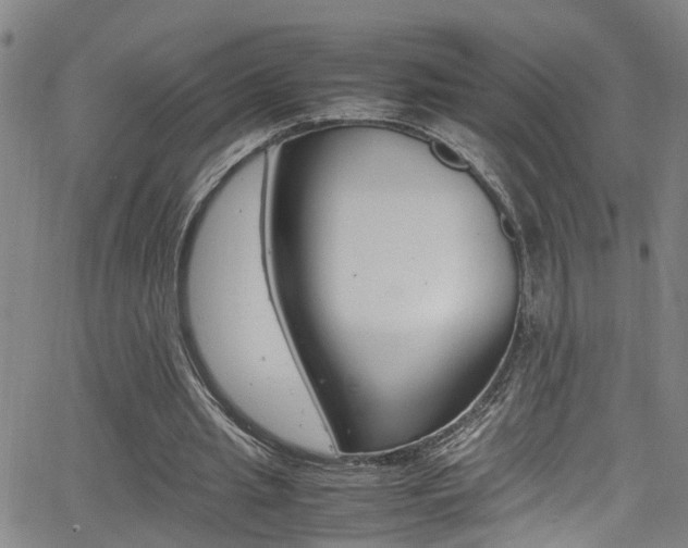 X0000065980437200603030934