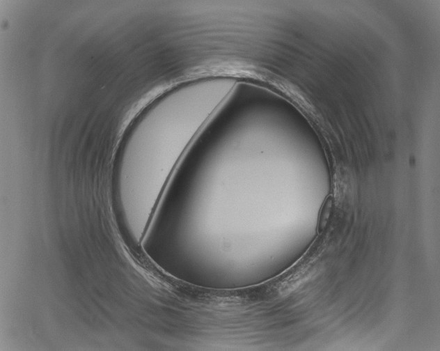 X0000065980438200603030934