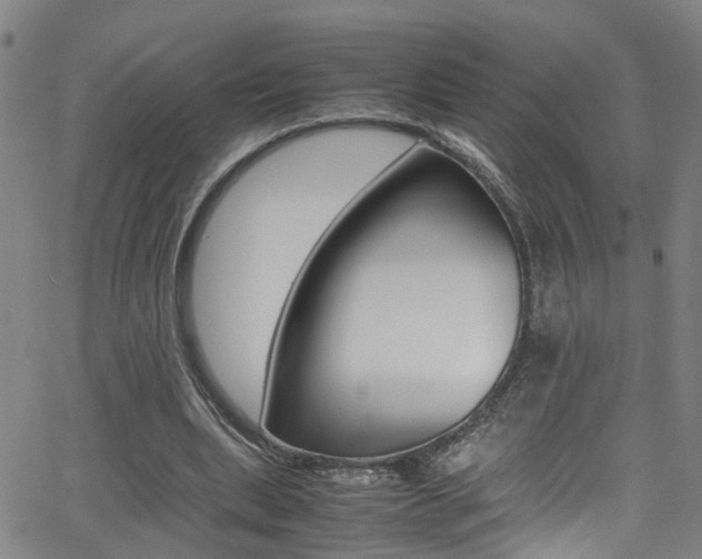 X0000065980439200603030934