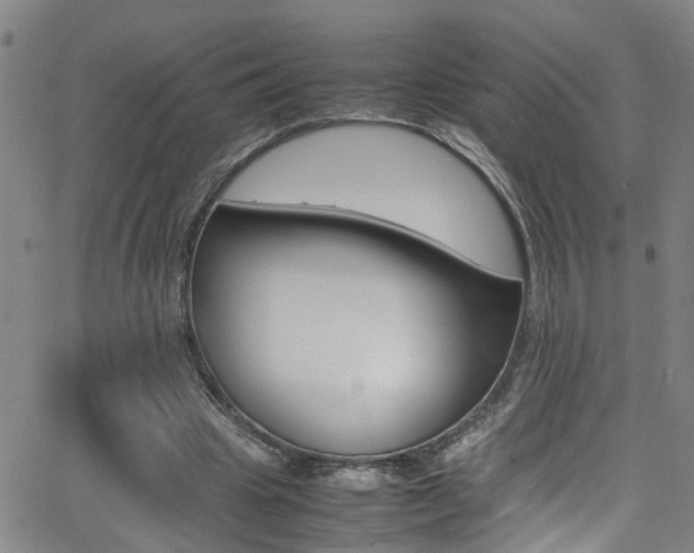 X0000065980441200603030934