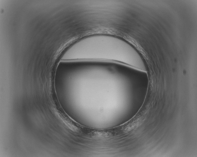 X0000065980442200603030934