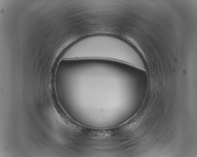 X0000065980443200603030934