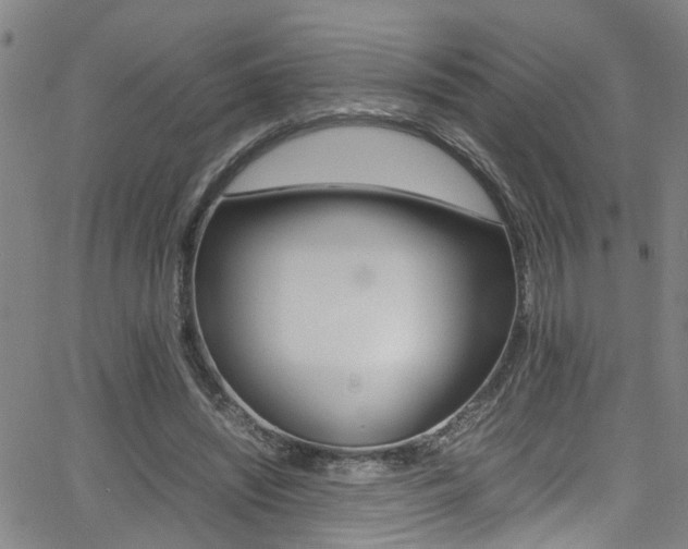 X0000065980444200603030934