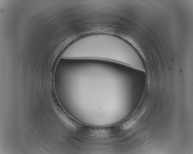 X0000065980445200603030934