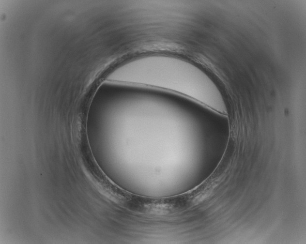 X0000065980448200603030934