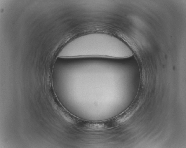 X0000065980449200603030934