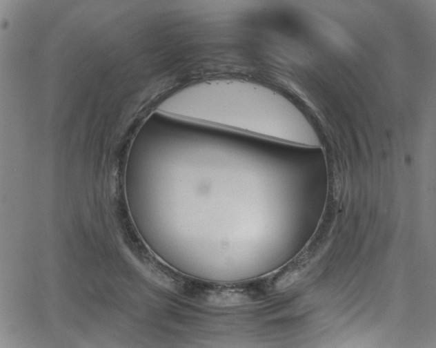 X0000065980451200603030934