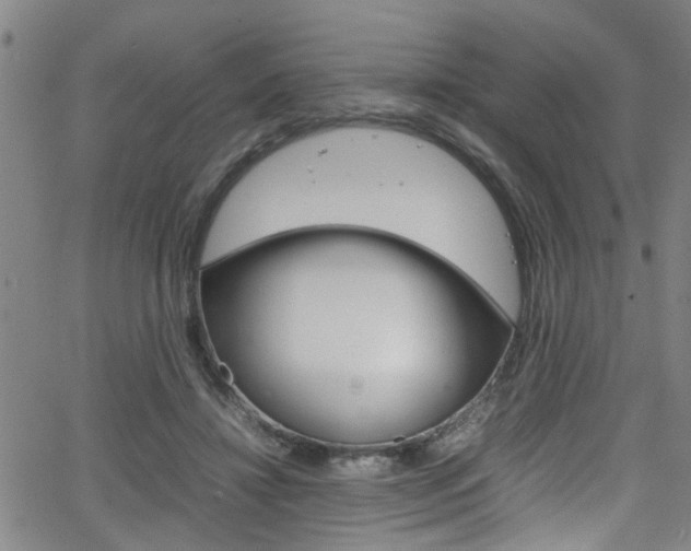 X0000065980452200603030934