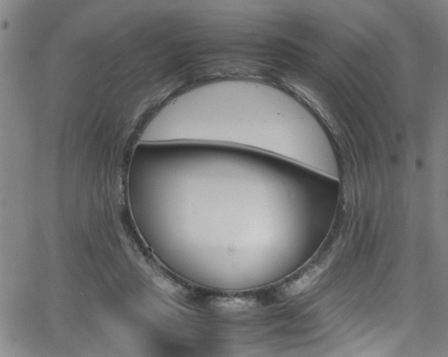 X0000065980453200603030934