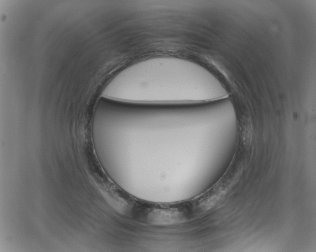 X0000065980455200603030934