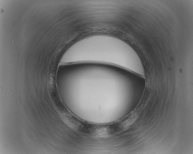 X0000065980456200603030934