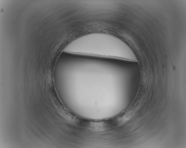 X0000065980457200603030934